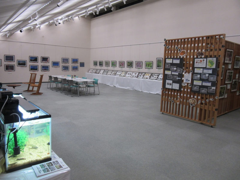 自然科学展