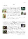 打吹山ウォッチングガイド175号