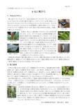 打吹山ウォッチングガイド176号