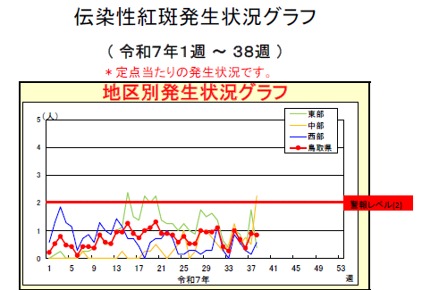 参考：伝染性紅斑_20240924