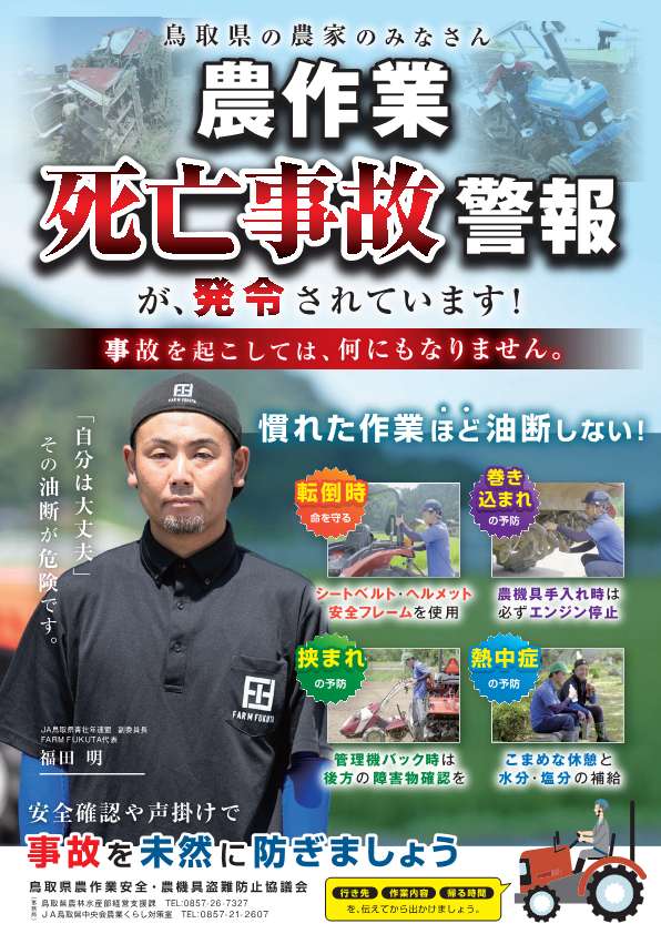 chirashi