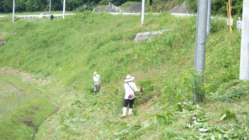 除草作業中（２）