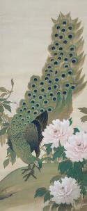 孔雀図