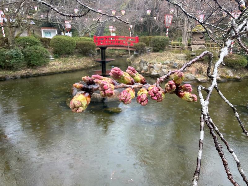 羽衣池