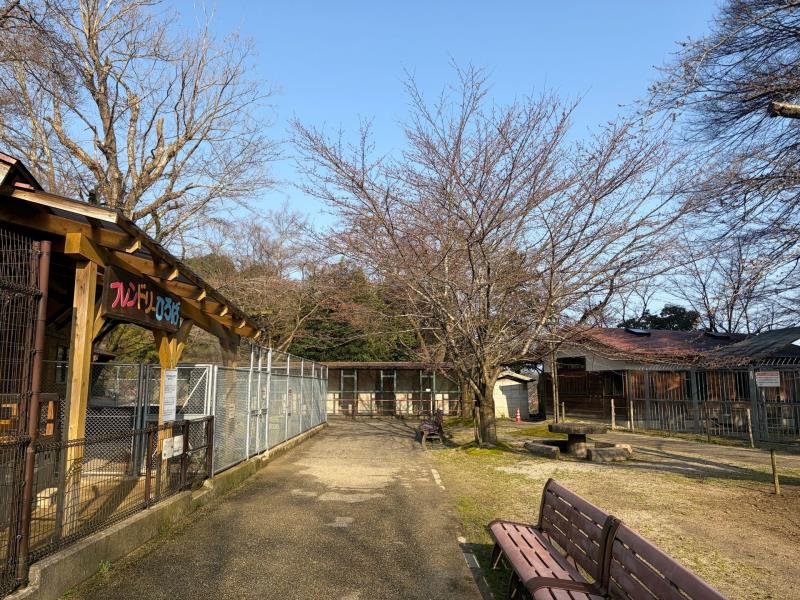 動物舎周辺