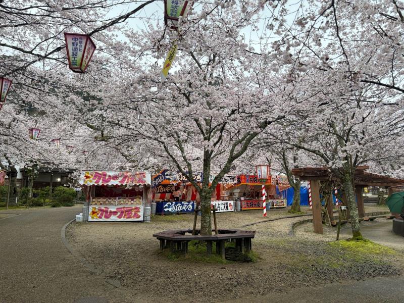 公園内の様子