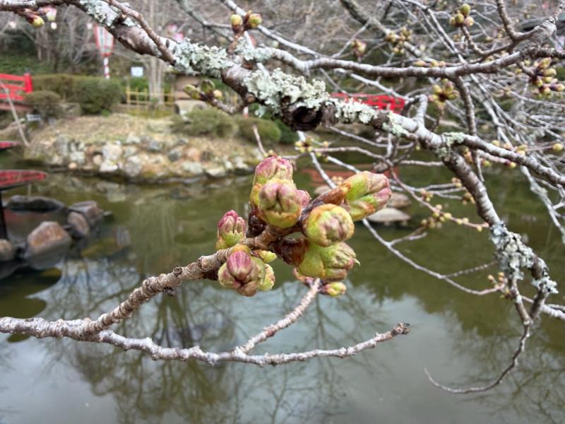 羽衣池