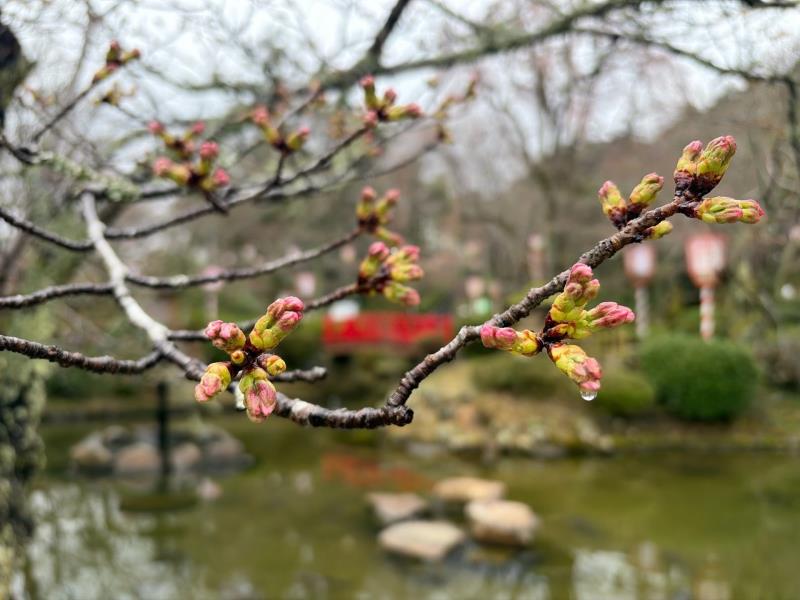 羽衣池