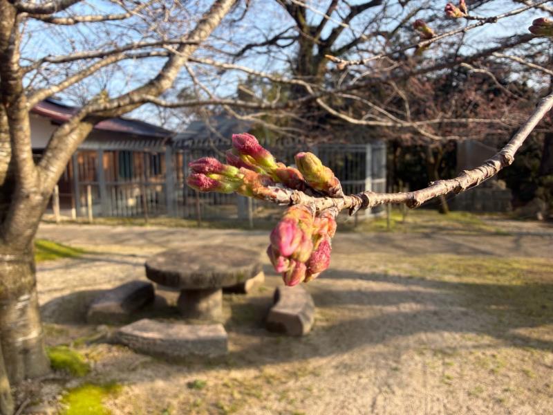 動物舎周辺