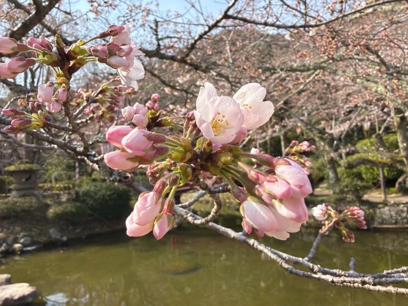羽衣池