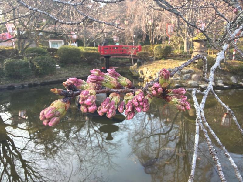 羽衣池