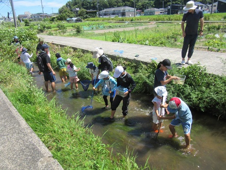 おさかな教室