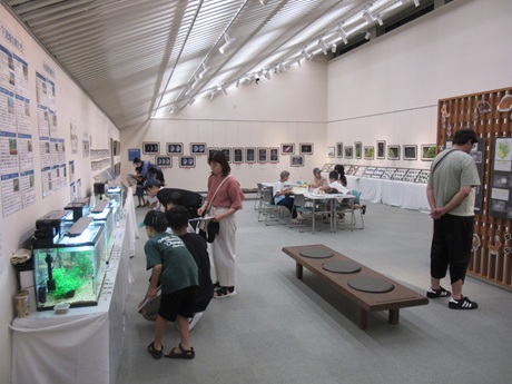 昨年の展示の様子