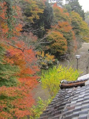 IMG_6580 - コピー.JPG
