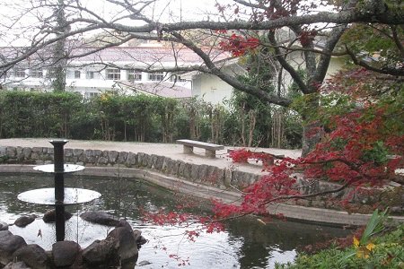 打吹公園紅葉.JPG