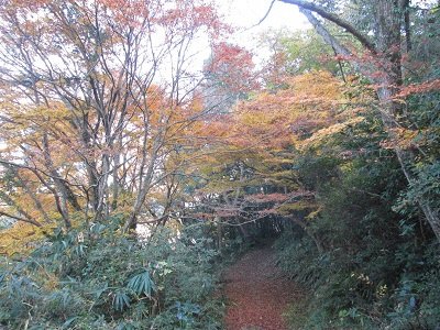 打吹山遊歩道.JPG