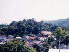 波波伎神社社叢の画像