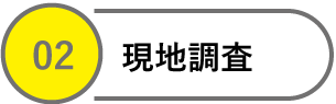 現地調査