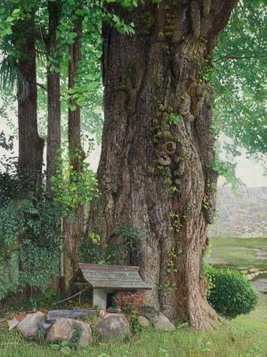 【市民賞】Traces