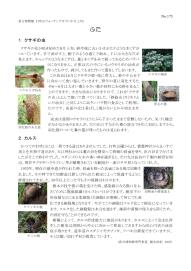 打吹山ウォッチングガイド最新号