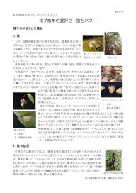 打吹山ウォッチングガイド最新号