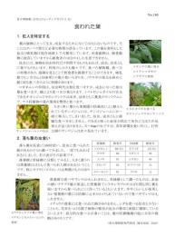 打吹山ウォッチングガイド最新号