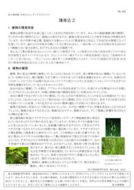 打吹山ウォッチングガイド183号