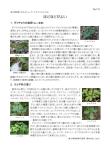 打吹山ウォッチングガイド172号