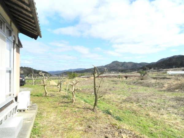 庭からの眺め