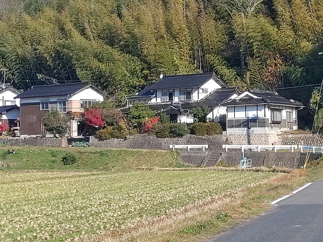 NO.322 上神（かずわ）