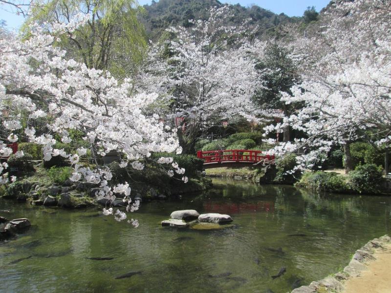 羽衣池