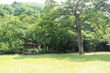 椿の平